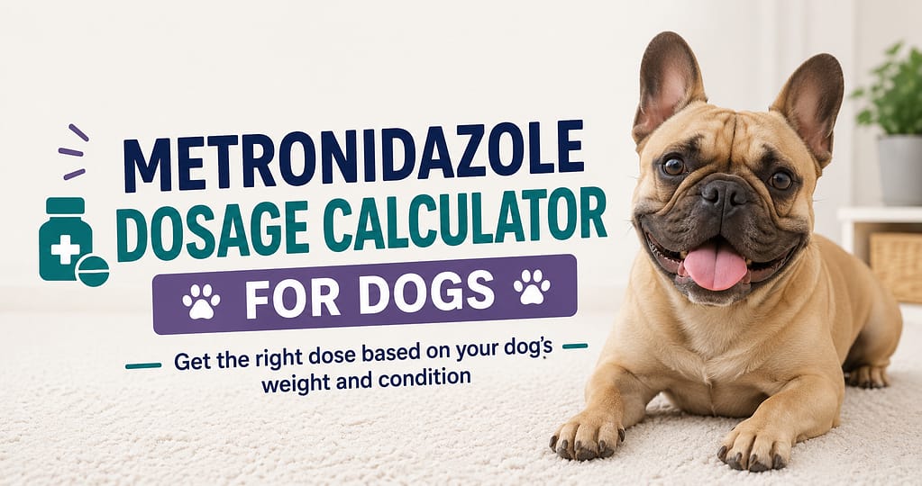 Metronidazole Dosage Calculator for Dogs by Weight 2 French Bulldog next to a Metronidazole Dosage Calculator for Dogs by Weight illustration