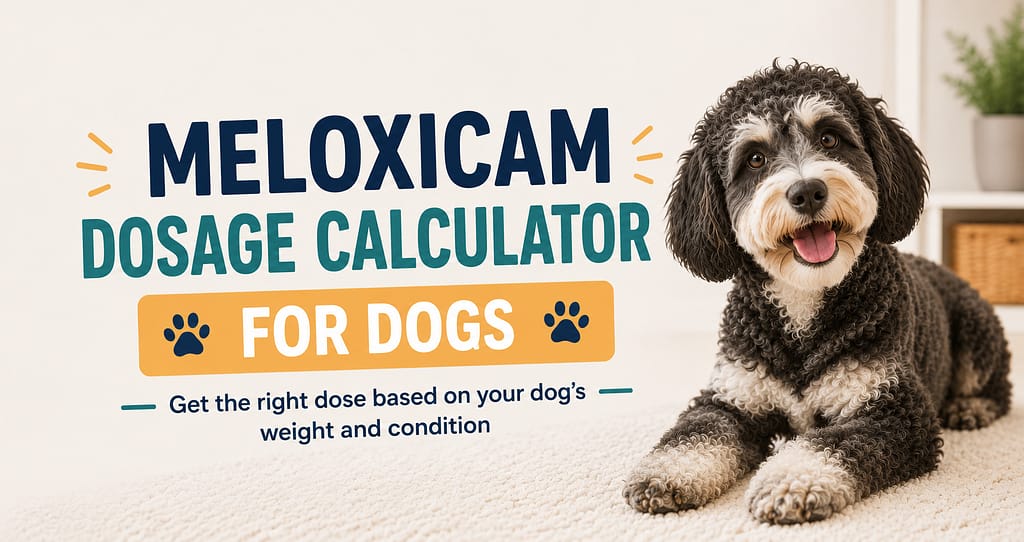 Meloxicam Dosage Calculator for Dogs by Weight 1 Border Collie dog lying on a rug next to a Meloxicam Dosage Calculator for Dogs by Weight