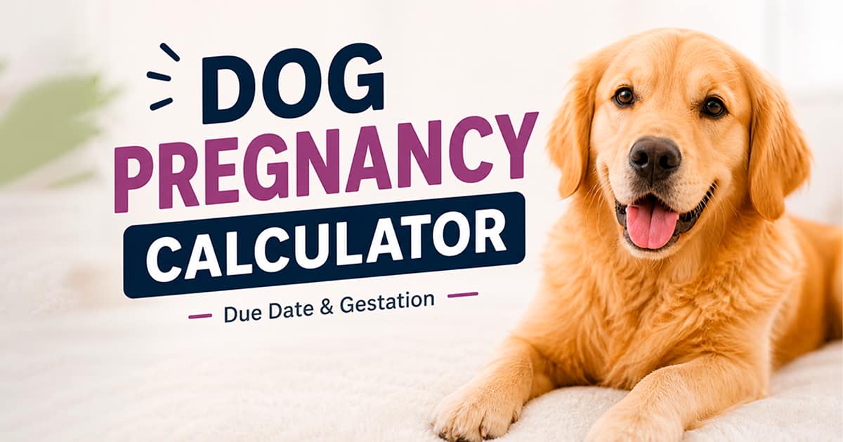 Dog Pregnancy Calculator: Due Date, Timeline & Gestation (63 Days)